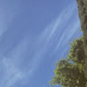 Meet your Posher, Jarelly